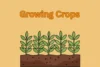 Which Process Is Involved in Growing Crops? - Post Thumbnail