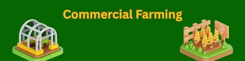 Types Of Agriculture Farming: A Complete, Modern Guide For Every Farmer 1 Beige Aesthetic Moodboard Photo Collage Instagram Post 22 1