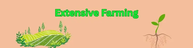 Types Of Agriculture Farming: A Complete, Modern Guide For Every Farmer 2 extensive farming