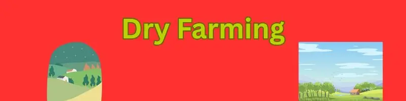 Types Of Agriculture Farming: A Complete, Modern Guide For Every Farmer 5 dry farming