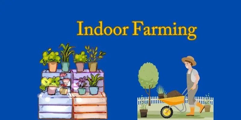 indoor farming