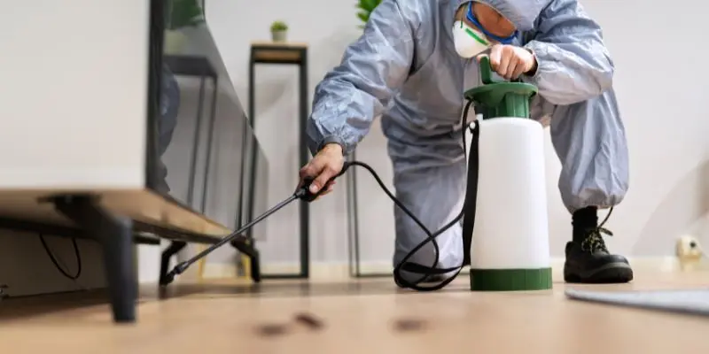 The Importance Of Soil Preparation For Planting 2 Control Weeds and Pests