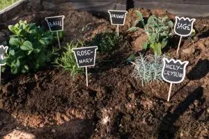 Benefits of Organic Farming for Soil and Crops