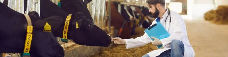 Smart Agriculture Sensors: Changing Farming With Technology 5 livesyoke monitering