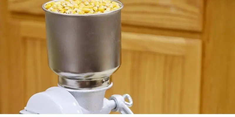 Ancient Farming Tools With Names: A Complete Guide To Early Agricultural Implements 5 thershing