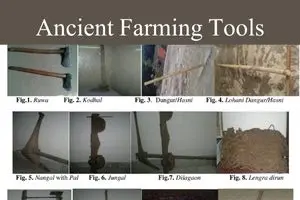 Ancient Farming Tools with Names: A Complete Guide to Early Agricultural Implements