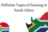 Different Types of Farming in South Africa: How Climate, Land, and Economy Shape Agriculture - Post Thumbnail