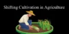 Shifting Cultivation in Agriculture: Complete Steps and Cycle - Post Thumbnail