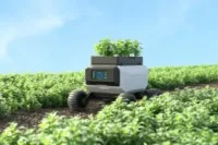 Smart Farming in Bangladesh. Struggle, Innovation, and Empowerment