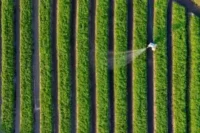 Types of Precision Agricultural Technology Now in Use