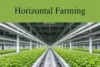 Horizontal Farming at Home: The Easiest Way to Grow Fresh Food Daily - Post Thumbnail