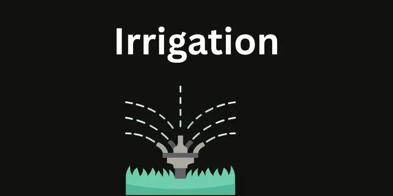 Land Preparation In Agriculture: Proven Methods To Boost Soil Health And Crop Productivity 2 irrigation