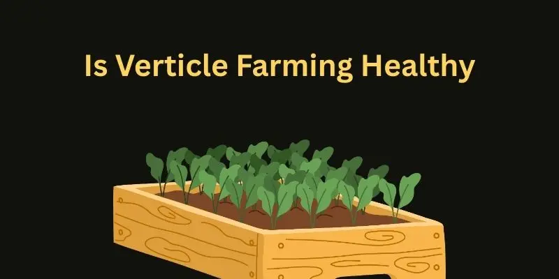 Is Vertical Farming Healthy? A Complete, In-Depth Guide for Modern Consumers and Farmers