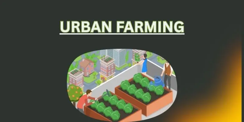 urban farming
