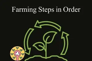 Farming Steps in Order: A Complete Beginner Guide for Modern Growers
