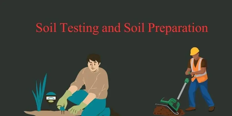 Farming Steps In Order: A Complete Beginner Guide For Modern Growers 1 Blue and White minimalist Instagram Post 5