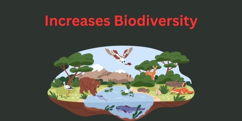 Advantages Of Sustainable Agriculture: Why The Future Of Farming Depends On It 1 increase biodiversity