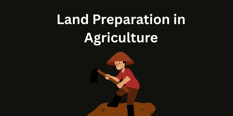Land Preparation In Agriculture: Proven Methods To Boost Soil Health And Crop Productivity 1 Blue and White minimalist Instagram Post 9 1