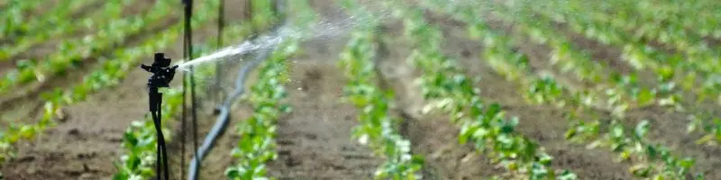 &Quot;Smart Water Conservation In Farming For A Better Future&Quot; 2 Drip Irrigation