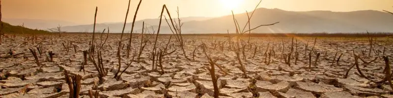 &Quot;Smart Water Conservation In Farming For A Better Future&Quot; 4 Drought