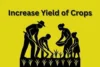 How to Increase Yield of Crops: The Complete Guide for Modern Farmers - Post Thumbnail