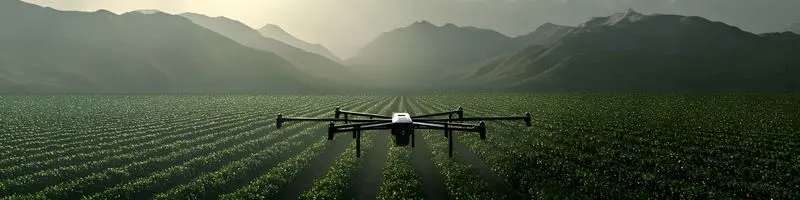 Which Process Is Involved In Growing Crops? 4 precision agriculture