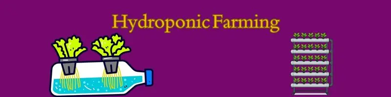 Modern Agricultural Techniques: The Smart Way To Grow More, And Save More, 4 hydroponic farming