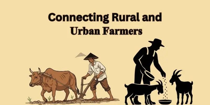 How Vertical Farming Helps The Environment 3 rural and farmer connection