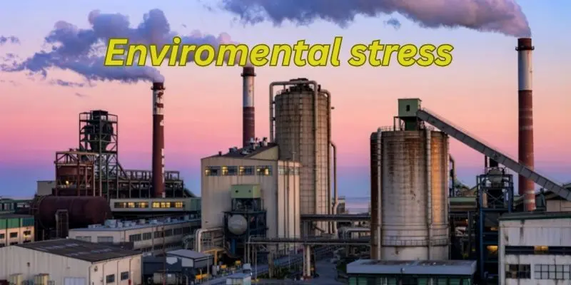 enviromental stress