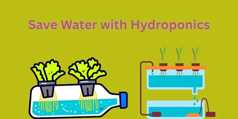 How Does Vertical Farming Help The Environment 1 save water wih hyhydroponics