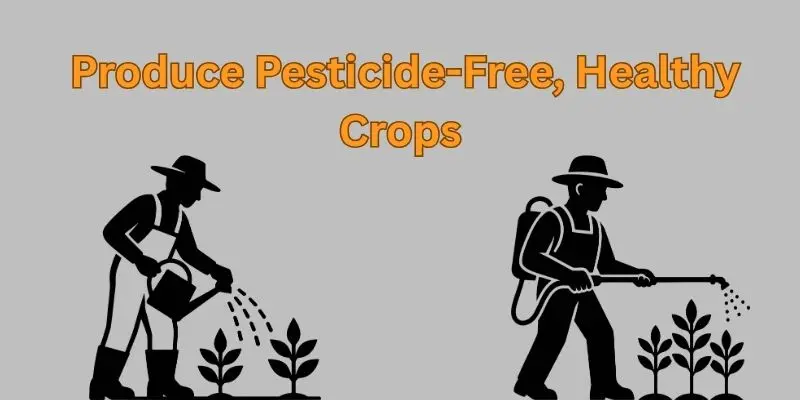 How Does Vertical Farming Help The Environment 3 pestiside healty crop