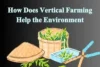 How Does Vertical Farming Help the Environment - Post Thumbnail