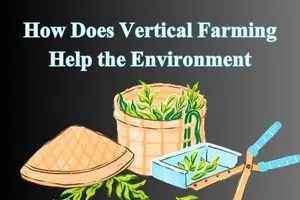 How Does Vertical Farming Help the Environment