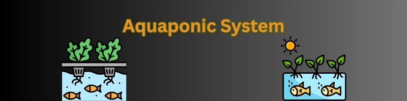 How To Start Vertical Farming: Step-By-Step Guide To Vertical Farming 4 aquaponic system