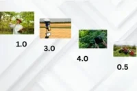 Phases of Precision Agriculture: (1990s – Future)