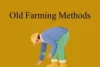 Old Farming Methods: How Ancient Techniques Built the Future of Agriculture - Post Thumbnail