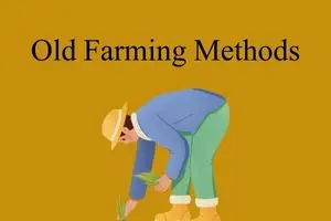 Old Farming Methods: How Ancient Techniques Built the Future of Agriculture