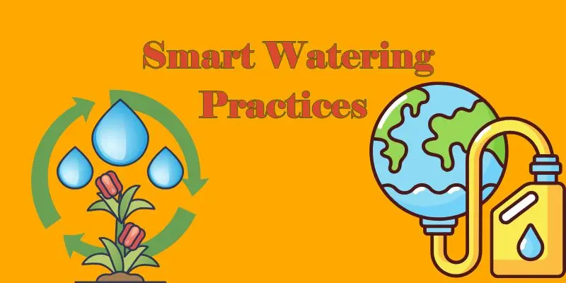 What Is Cultivating Plants? Rare Insights Into Nature’s Most Powerful Practice 2 smart water practices