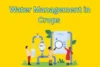 Water Management in Crops – Nurture Every Drop, Grow with Purpose - Post Thumbnail