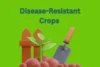 Disease-Resistant Crops – Protect Your Harvest, Secure Your Future - Post Thumbnail