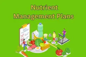 Nutrient Management Plans – Feed the Soil, Fuel the Future
