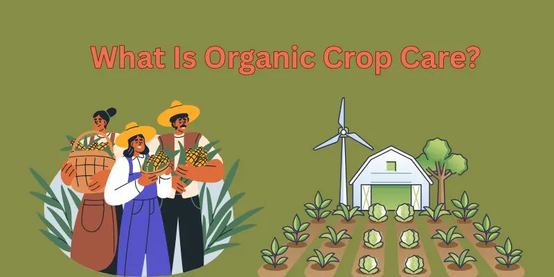 Organic Crop Care .Grow Pure, Harvest With Heart 1 organic crop care