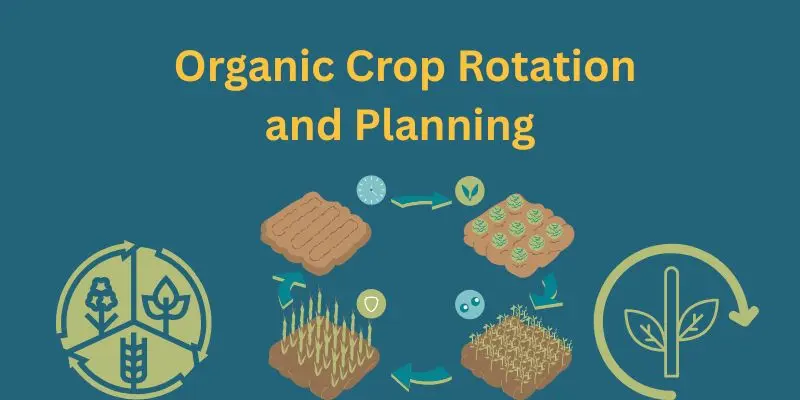 Organic Crop Care .Grow Pure, Harvest With Heart 2 organic crop rotation