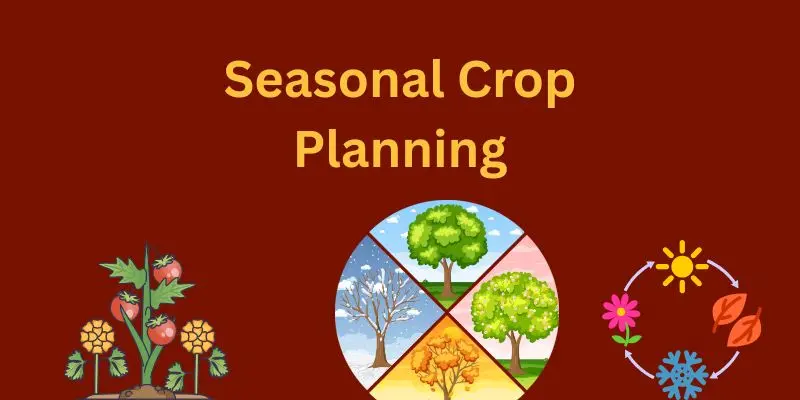 Seasonal Crop Planning: Grow With Nature, Harvest With Purpose 1 Green Orange Illustrative Why Email Marketing is Important Presentation 300 x 200 px 800 x 400 px 800 x 200 px 300 x 200 px 800 x 400 px 300 x 200 px 800 x 400 px 2025 05 15T224403.33 1