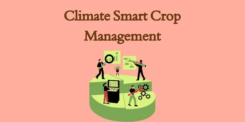 Climate-Smart Crop Management: Farming For A Resilient Future 1 climate smart crp management