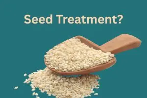 Seed Treatment: The Invisible Shield That Protects Your Harvest from the Start