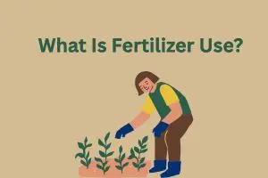 Fertilizer Use: Nourishing the Soil, Securing the Future