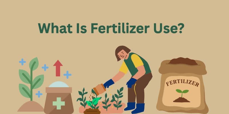 Fertilizer Use: Nourishing The Soil, Securing The Future 1 fertilizer user