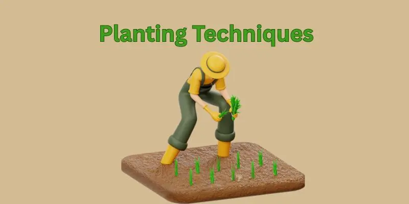 Planting Techniques: The Foundation Of Every Successful Harvest 1 planting techniqy
