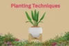 Planting Techniques: The Foundation of Every Successful Harvest - Post Thumbnail